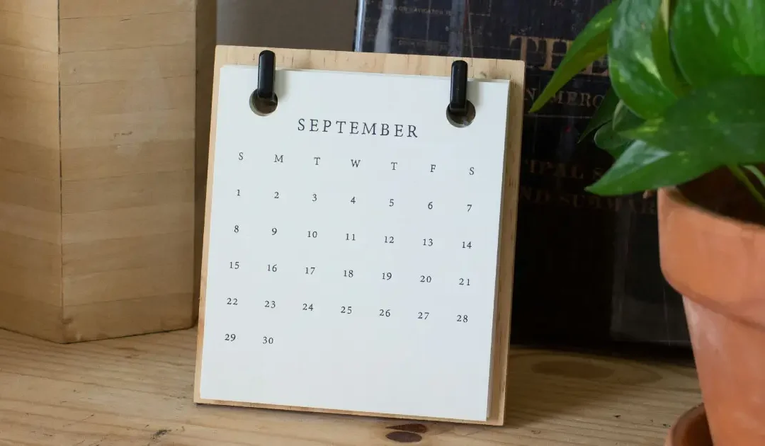 Times of the Year That Matter Most for Your Website (And When to Update It)